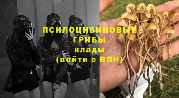 синтетический гашиш Богородск