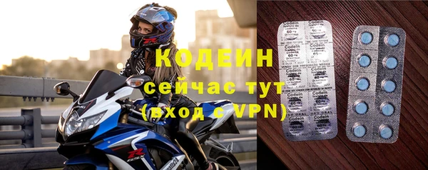 соль ск Богородицк
