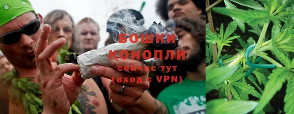 соль ск Богородицк