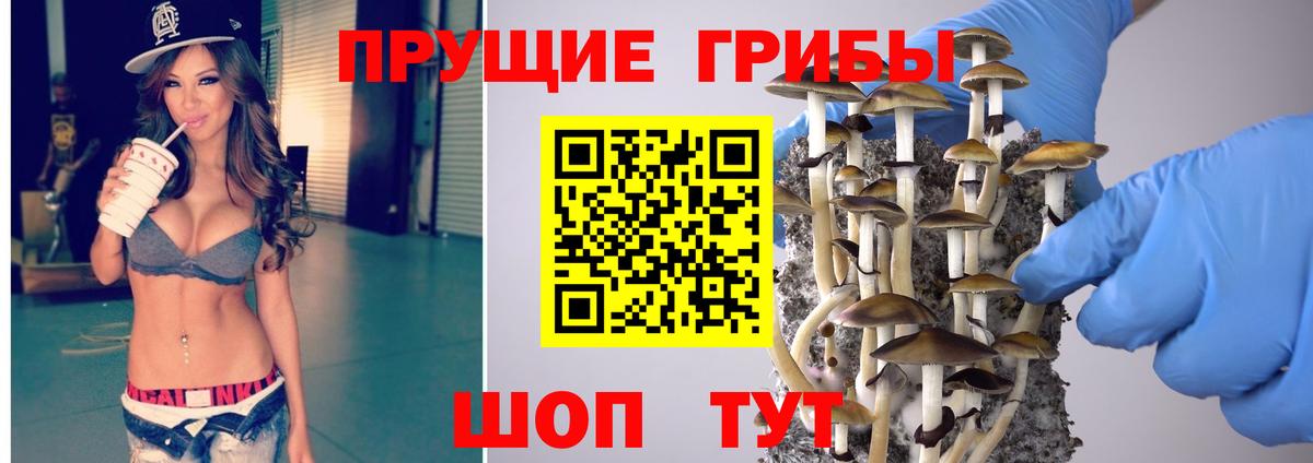 Галлюциногенные грибы мицелий Бугульма